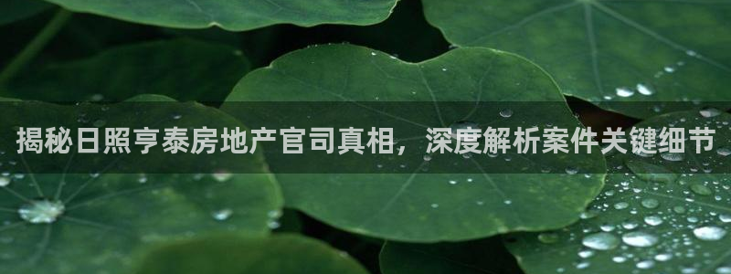 九游会网址登陆